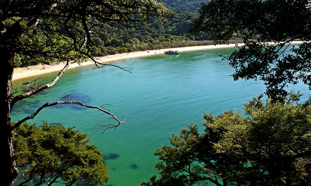 roadtrip-nouvelle-zelande-abel-tasman-malborough-blog-voyage