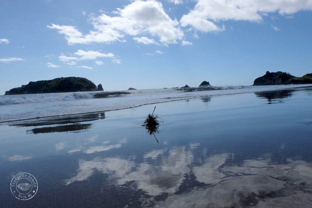 Rodatrip nouvelle zélande peninsule de coromandel