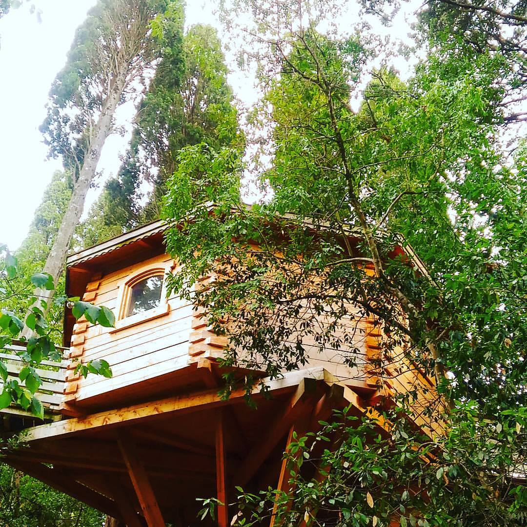 insolite-dormir-cabane-dans-les-bois-carcassonne-avis-test