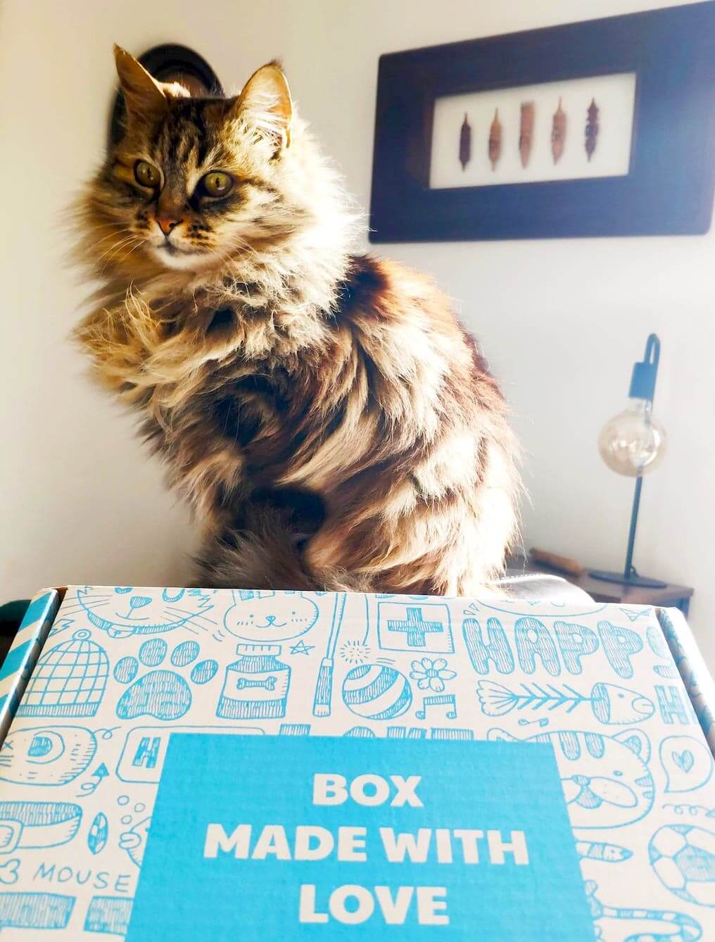 Miaoubox janvier 2021 : contenu, avis, test, code promo