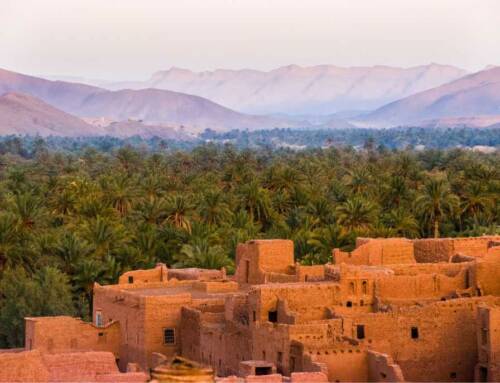10 raisons de voyager au Maroc en 2023 !