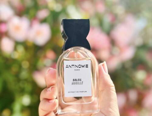 Coup de cœur parfum : Soleil Mouillé d’Antinomie